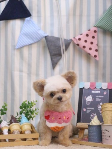 20250506なうちゃん